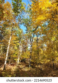 Fall Colors In Central Massachusetts