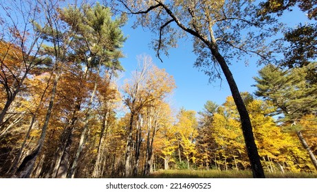 Fall Colors In Central Massachusetts