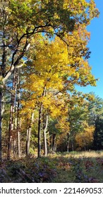 Fall Colors In Central Massachusetts