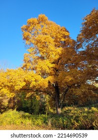 Fall Colors In Central Massachusetts