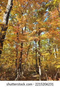 Fall Colors In Central Massachusetts