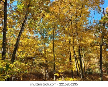 Fall Colors In Central Massachusetts