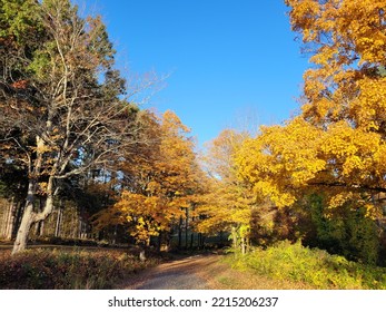 Fall Colors In Central Massachusetts