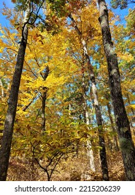 Fall Colors In Central Massachusetts