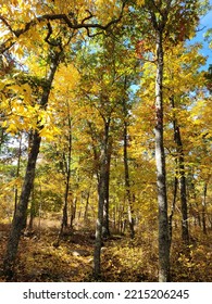 Fall Colors In Central Massachusetts