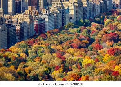 Fall colors of Central Park foliage in late afternoon. Aerial view toward Central Park West. Upper West Side, Manhattan, New York City