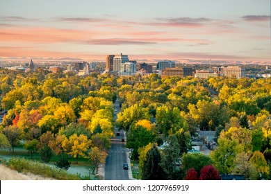 Fall colors in the city of trees Boise Idaho morning