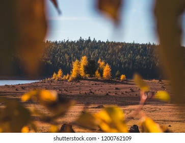 Fall Colors At Clear Lake Oregon