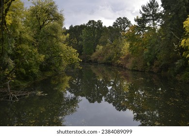 Fall colors contrast against a cloudy blue and grey sky and the Tualatin River. Located at the Tualatin River Wildlife Refuge just outside of Sherwood Oregon.