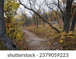 Fall Colors - Devils Lake State Park Wisconsin