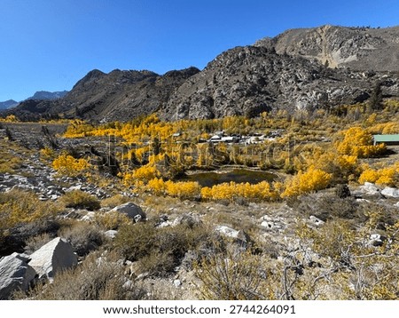 Fall Colors in Eastern Sierra Valley Near Bishop California