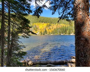 Fall Colors Estes Park Colorado