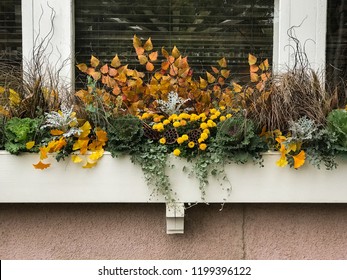 Fall Colors Flowers In White Wooden Flower Box