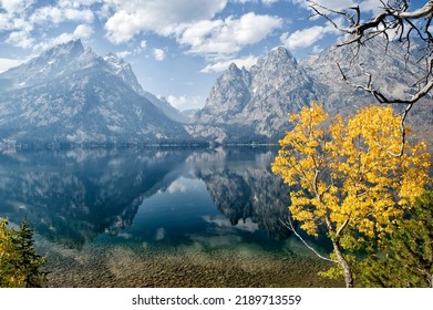 Fall Colors In Grand Teton National Park