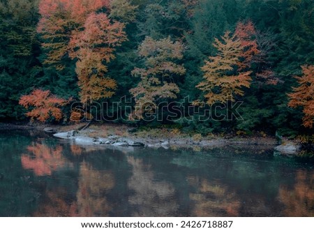 Fall colors have arrived along the Clarion River at Cook Forest State Park, Pennsylvania