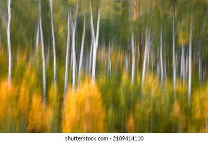 Fall Colors Have Arrived To Kolob Terrace Just Outside Zion National Park, Utah