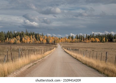 Fall Colors Have Arrived To Kolob Terrace Just Outside Zion National Park, Utah