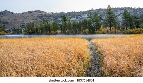 Fall Colors In June Lake Loop