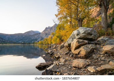 Fall Colors In June Lake Loop