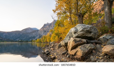 Fall Colors In June Lake Loop