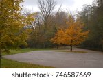 fall colors at Kickapoo State park  