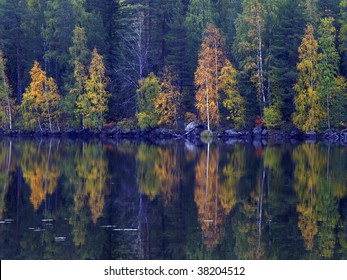 Fall Colors, Koli National Park, Finland