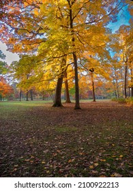 Fall Colors Of Lake County In Illinois