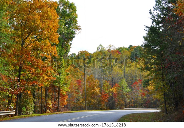 Fall colors line a highway curve on an\
afternoon drive in the\
mountains
