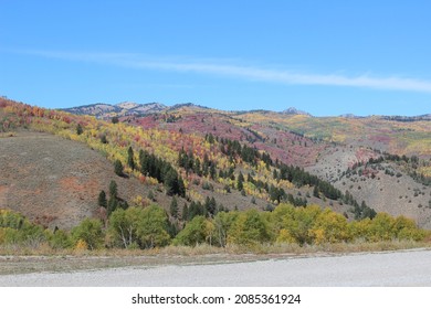 Fall Colors In Logan Canyon