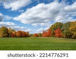 Fall colors at Marshbank Park in West Bloomfield, Michigan