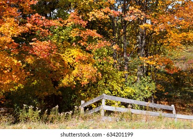 Fall Colors Of Michigan Near Traverse City