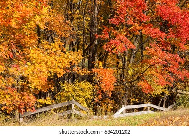 Fall Colors Of Michigan Near Traverse City