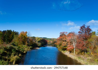 Fall Colors And Migrating Geese At Pictou East River, Pictou County, Nova Scotia, NS, Canada