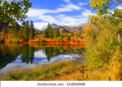 Fall Colors Near Sabrina Lake ,Bishop California