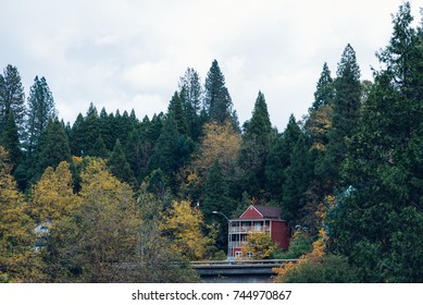 Fall Colors In Nevada City, CA