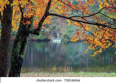 Fall Colors In North Alabama