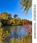 Fall colors on the Boise River greenbelt in Boise, Idaho