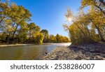 Fall colors on the Boise River greenbelt in Boise, Idaho