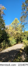 Fall Colors On The Cardinal Greenway In Muncie Indiana