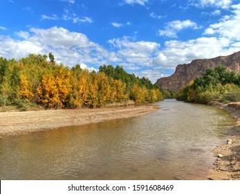 Fall Colors On The Gila River In Arizona