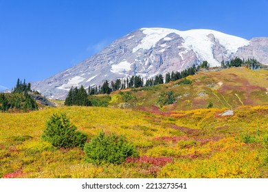 Fall colors on the meadow slops of Mount Rainier National Park with the volcano rising against a blue sky - Shutterstock ID 2213273541
