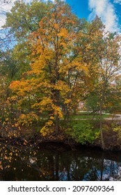 Fall Colors On The Red Cedar River In East Lansing