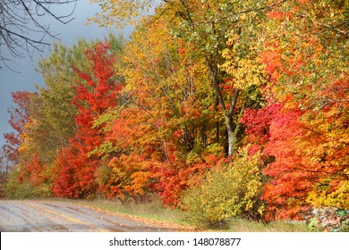 Fall Colors On A Road Near Traverse City