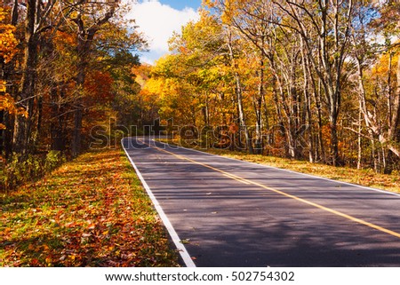 Fall Colors on a scenic road