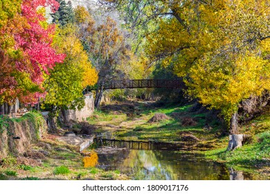 Fall colors on Sutter Creek