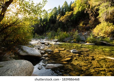 Fall Colors On The Yuba River