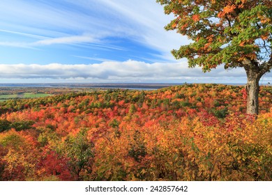 Fall Colors In Ottawa Valley, Canada