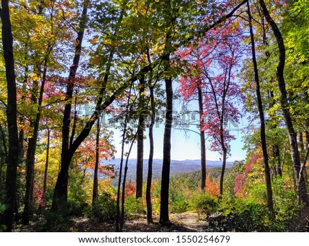Fall Colors in Pisgah National Forest, near Brevard, North Carolina, USA