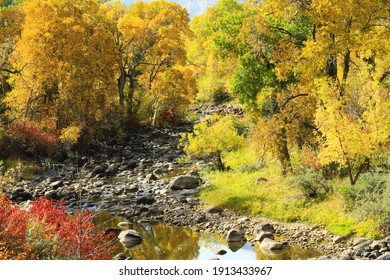 1,654 Rocky Creek Bed Images, Stock Photos & Vectors | Shutterstock