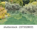 Fall Colors at Stevens Creek Reservoir. Stevens Creek County Park, Santa Clara County, California.